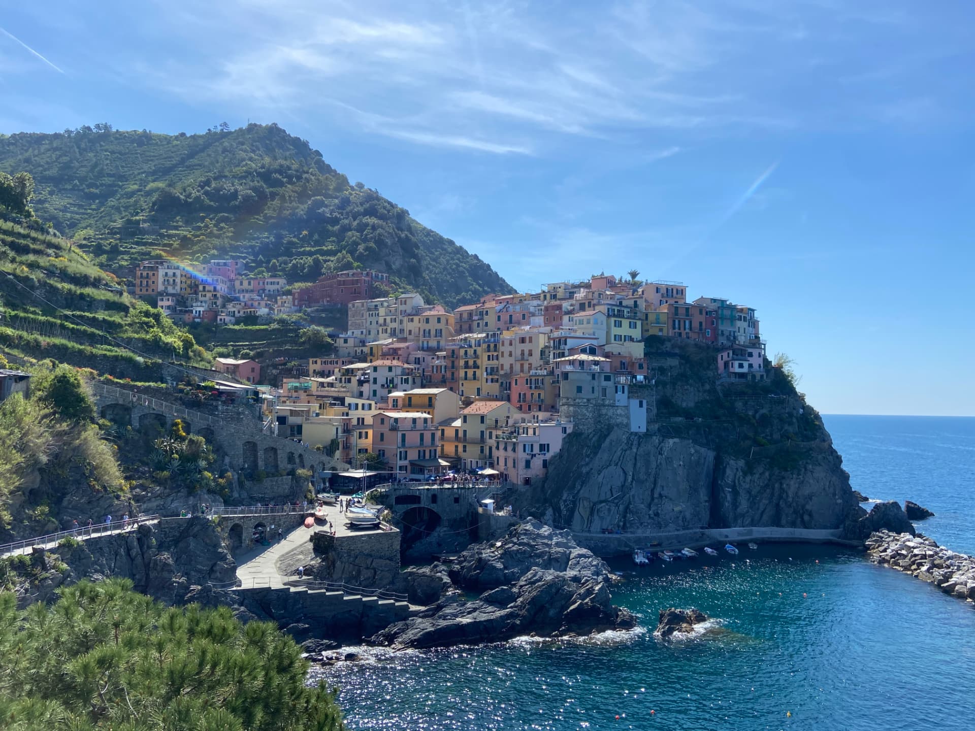 Bunte Häuser an der Steilküste von Manarola am Meer
